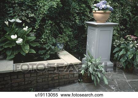 Zantedeschia on raised pond in town garden with terracotta pot on small outdoor storage cupboard View Large Photo Image Stock Photography - Zantedeschia on raised pond in town garden with terracotta pot on small outdoor storage cupboard. Fotosearch