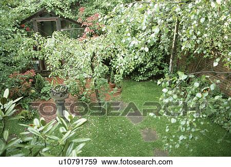 Aerial view of small trees and path across lawn in walled garden with greenhouse View Large Photo Image Stock Photo - Aerial view of small trees and path across lawn in walled garden with greenhouse . Fotosearch
