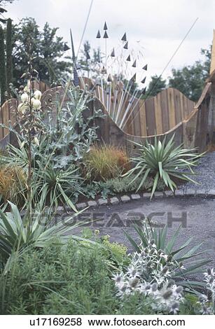 Stock Photo - Agave and yucca in town garden with modern sculpture in the background. Fotosearch