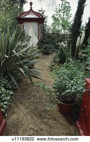 Agave beside gravel path to red and white gazebo in small town garden View Large Photo Image Stock Image - Agave beside gravel path to red and white gazebo in small town garden. Fotosearch
