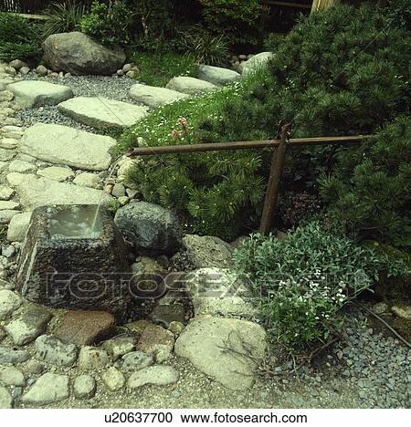 Bamboo water spout with a stone path edged with alpines and a small pine View Large Photo Image Stock Image - Bamboo water spout with a stone path edged with alpines and a small pine. Fotosearch