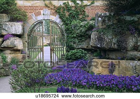 Picture - Blue violas and ornate metal gates with view of large country garden. Fotosearch