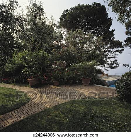Brick paved path in large Italian seaside garden in summer View Large Photo Image Stock Photograph - Brick paved path in large Italian seaside garden in summer . Fotosearch