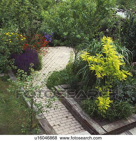 Brick paved path in town garden with brick-edged borders View Large Photo Image Stock Photo - Brick paved path in town garden with brick-edged borders. Fotosearch