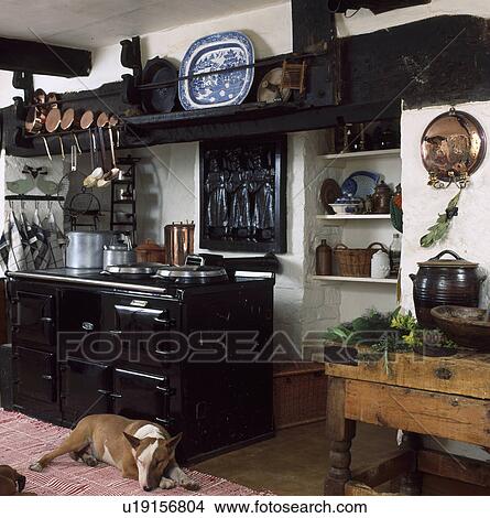 Bull terrier in front of black Aga in cottage kitchen with shelving in alcove View Large Photo Image Picture - Bull terrier in front of black Aga in cottage kitchen with shelving in alcove. Fotosearch