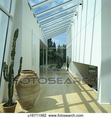 Cactus and tall terracotta pot in modern white hall corridor with glass roof and wooden flooring  View Large Photo Image Stock Image - Cactus and tall terracotta pot in modern white hall corridor with glass roof and wooden flooring . Fotosearch