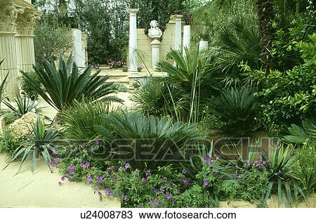 Stock Image - Classical columns in agave garden. Fotosearch
