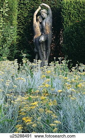 Classical statues and helichrysum in country garden View Large Photo Image Stock Image - Classical statues and helichrysum in country garden. Fotosearch