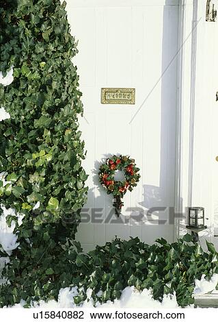 Climbing ivy and lantern above white cottage door with Christmas wreath View Large Photo Image Stock Image - Climbing ivy and lantern above white cottage door with Christmas wreath. Fotosearch