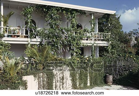 Stock Photo - Climbing plants on house with balcony in the West Indies. Fotosearch