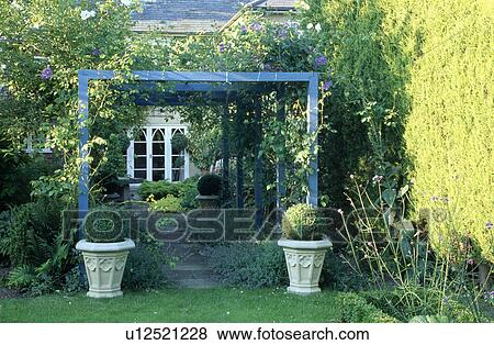 Stock Photo - Clipped box in stone pots beside blue pergola in country garden in summer. Fotosearch
