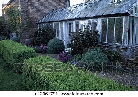 Clipped hedge in front of greenhouse in country garden View Large Photo Image Stock Image - Clipped hedge in front of greenhouse in country garden. Fotosearch
