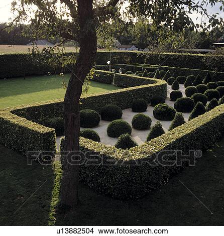 Clipped hedges and topiary in formal country garden in summer View Large Photo Image Picture - Clipped hedges and topiary in formal country garden in summer. Fotosearch