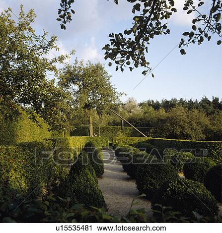 Clipped hedges in formal country garden in summer View Large Photo Image Stock Image - Clipped hedges in formal country garden in summer. Fotosearch