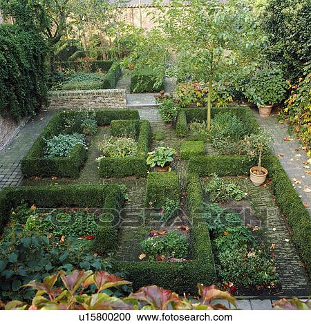Stock Image - Clipped hedges in formal country garden in summer. Fotosearch