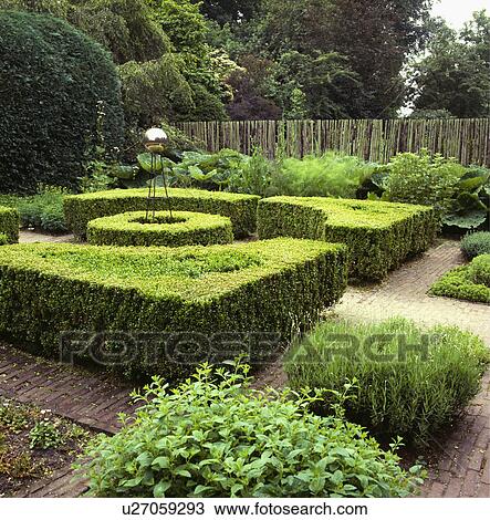 Stock Image - Clipped hedges in formal country garden in summer. Fotosearch