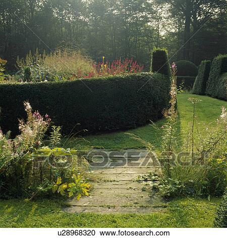 Stock Image - Clipped hedges in formal country garden in summer. Fotosearch