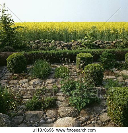 Clipped shrubs and large stones in small country garden in summer View Large Photo Image Stock Photograph - Clipped shrubs and large stones in small country garden in summer. Fotosearch