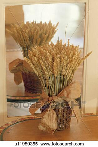 Close-up of cornsheaf in basket in front of mirror View Large Photo Image Stock Photography - Close-up of cornsheaf in basket in front of mirror. Fotosearch
