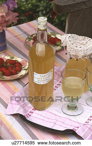 Close-up of elderflower cordial and glasses View Large Photo Image Stock Photography - Close-up of elderflower cordial and glasses. Fotosearch