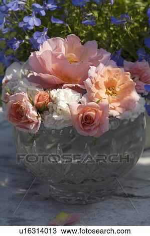 Close-up of glass bowl with pale pink and cream roses View Large Photo Image Stock Image - Close-up of glass bowl with pale pink and cream roses. Fotosearch