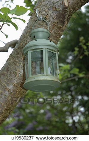 Close-up of green candle lantern hanging from a tree View Large Photo Image Stock Photo - Close-up of green candle lantern hanging from a tree. Fotosearch