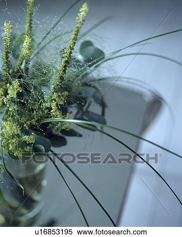 Close-up of green modern fresh flower arangement View Large Photo Image Stock Photography - Close-up of green modern fresh flower arangement. Fotosearch