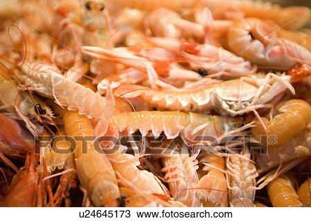 Stock Image - Close up of large fresh prawns. Fotosearch