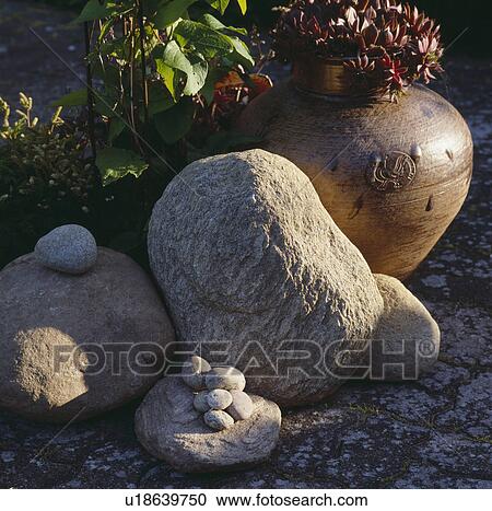 Stock Image - Close-up of large smooth stones and aeoniums in pot. Fotosearch