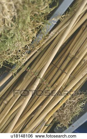Stock Photograph - close-up of pile of bamboo canes. Fotosearch