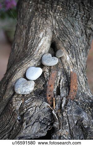 Close up of rusty horseshoe and heart shaped stones on tree trunk View Large Photo Image Stock Image - Close up of rusty horseshoe and heart shaped stones on tree trunk. Fotosearch