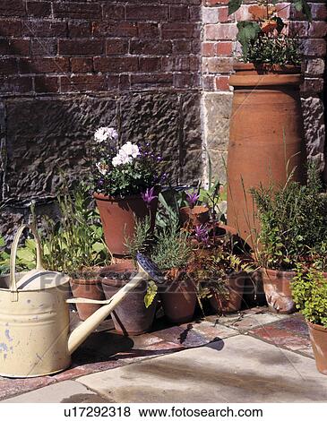 Close-up of watering can and terracotta pots View Large Photo Image Stock Photo - Close-up of watering can and terracotta pots. Fotosearch
