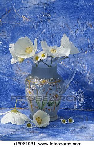 Close-up of white flowers and jug View Large Photo Image Stock Image - Close-up of white flowers and jug. Fotosearch