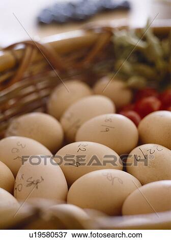 Stock Photo - Closeup of fresh newly collected eggs.. Fotosearch