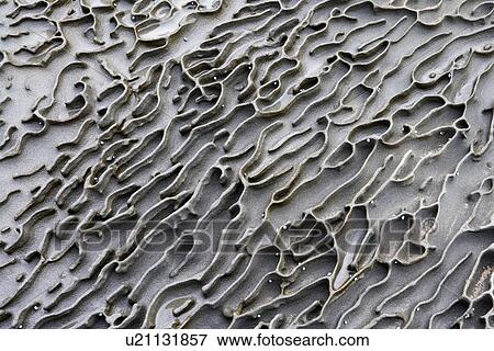 Stock Photo - Closeup of rock patterned by weather and sea erosion.. Fotosearch