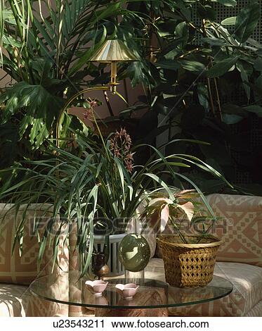 Stock Image - Closeup of small glass table with a plant and other assorted items against a backdrop of green plants.. Fotosearch