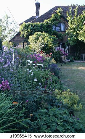 Colourful flowering plants in garden border of traditional country house in summer View Large Photo Image Stock Photography - Colourful flowering plants in garden border of traditional country house in summer. Fotosearch