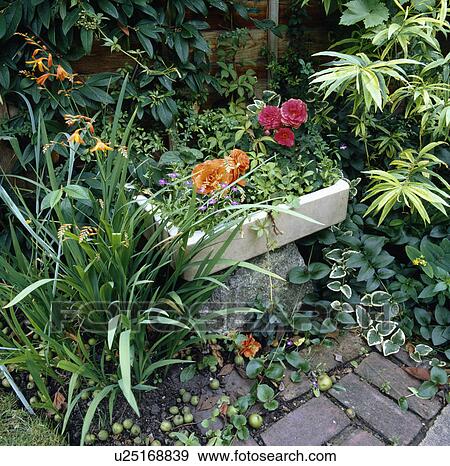 Colourful summer plants in pots View Large Photo Image Stock Photo - Colourful summer plants in pots. Fotosearch