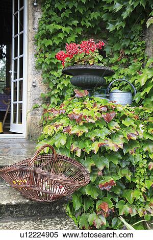 containers, baskets, gardens View Large Photo Image Stock Photography - containers, baskets, gardens. Fotosearch