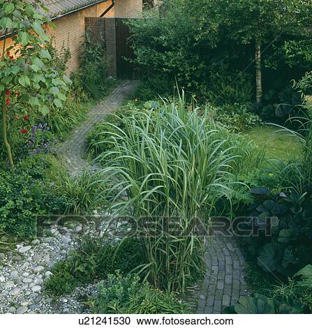 Curved paved path through shrubs in small green town garden View Large Photo Image Stock Image - Curved paved path through shrubs in small green town garden. Fotosearch