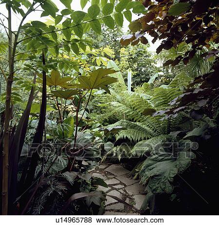 Curved paved path through shrubs in small green town garden View Large Photo Image Stock Photo - Curved paved path through shrubs in small green town garden. Fotosearch