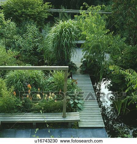 Stock Image - Decking path beside pond in town garden with lush green plants. Fotosearch