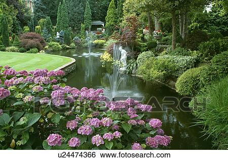 Fountains in large curved pond in formal country garden with pink hydrangeas View Large Photo Image Stock Photograph - Fountains in large curved pond in formal country garden with pink hydrangeas. Fotosearch
