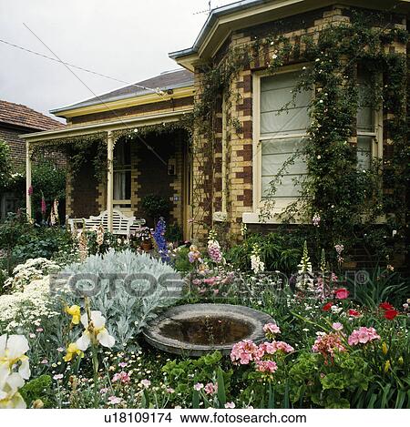 Picture - Front garden oof brick bungalow with a bird bath surrounded bt foxgloves, geraniums, dianthus and itis. Fotosearch