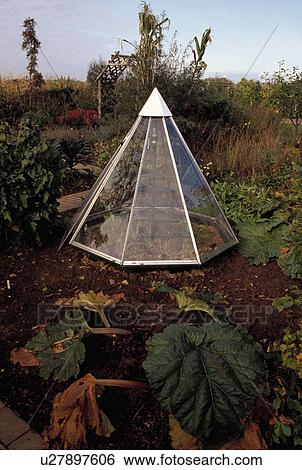 Glass cloche in vegetable garden View Large Photo Image Stock Photograph - Glass cloche in vegetable garden. Fotosearch