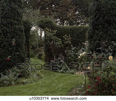 Grass path in large country garden View Large Photo Image Picture - Grass path in large country garden . Fotosearch