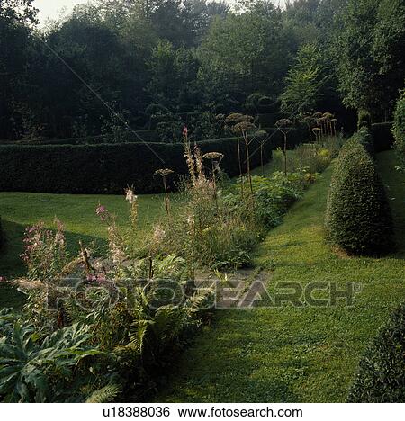 Stock Photograph - Grass paths and clipped hedges in large country garden in summer. Fotosearch