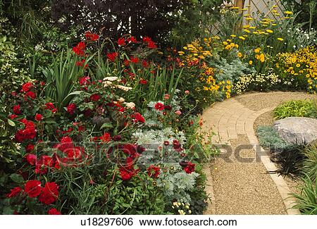 Stock Photograph - Gravel path and colourful herbaceous border in country garden in summer. Fotosearch