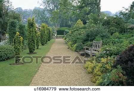 Gravel path and shrub border in large country garden with row of conifers in grass border View Large Photo Image Stock Photo - Gravel path and shrub border in large country garden with row of conifers in grass border. Fotosearch