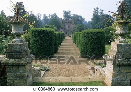 Stock Image - Gravel path through clipped yew in large country garden in summer. Fotosearch